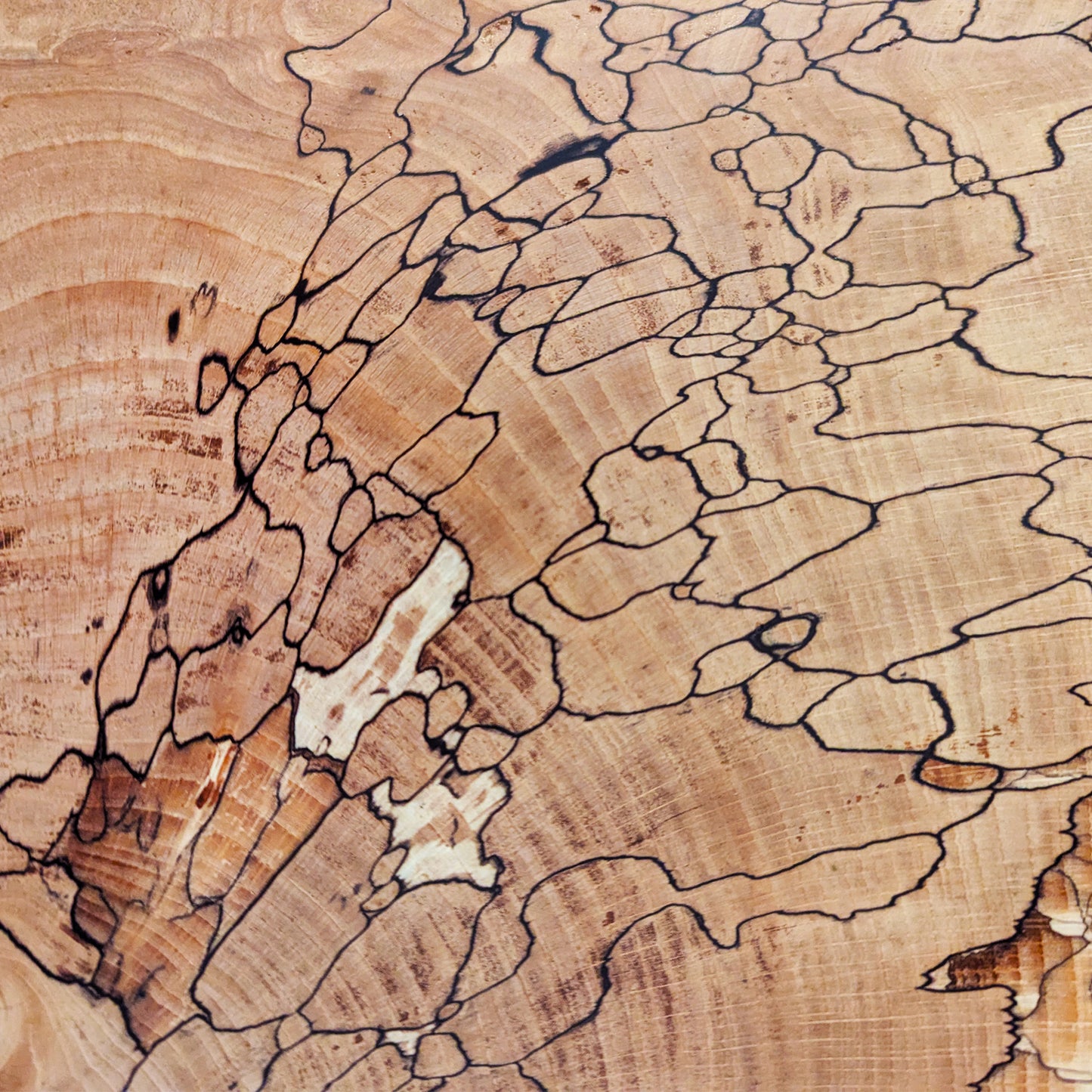 Spalted beech side table