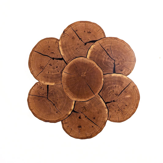 Oak flower Wall Art