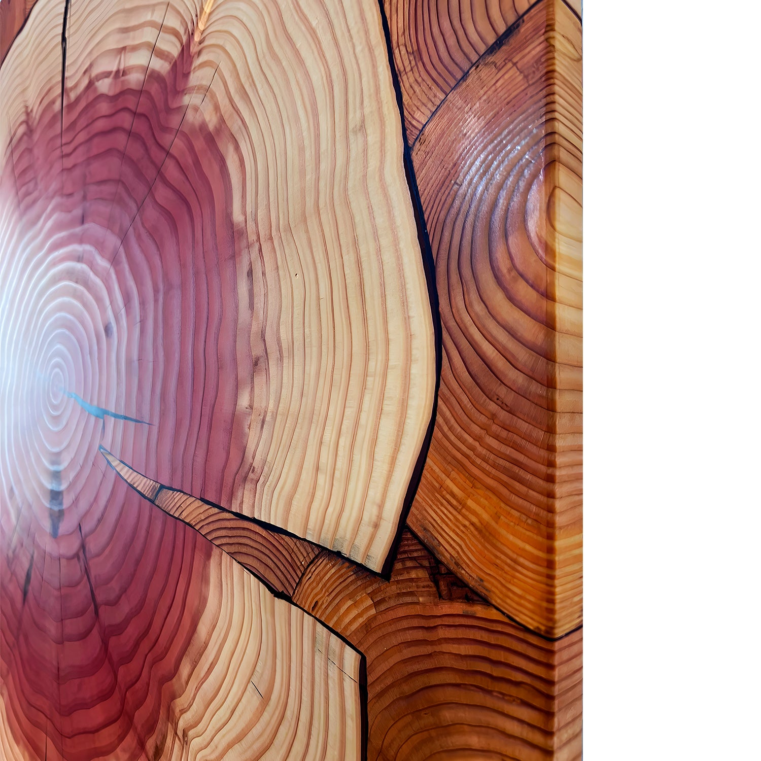 Wood explosion – Marmotaworks